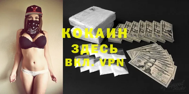 COCAIN Эквадор Вязники